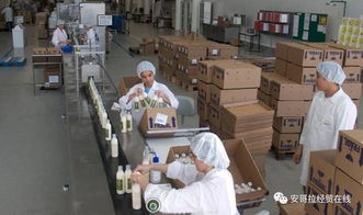 投資1000萬美元的化妝品加工廠在安開業，引領本土美妝產業新格局